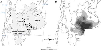 Diversity of Naturalized Hairy Vetch (Vicia villosa Roth) Populations in Central Argentina as a Source of Potential Adaptive Traits for Breeding